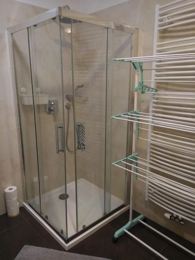 Apartman Rezidence Moser-Free Parking Garage Κάρλοβι Βάρι Εξωτερικό φωτογραφία